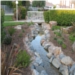 Pond 1