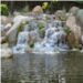 Pond 1