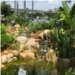 Pond 1