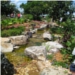Pond 1
