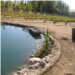 Pond 1