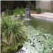Pond 1