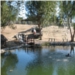 Pond 1