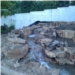 Pond 1